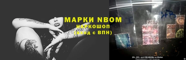прущий лед Абаза