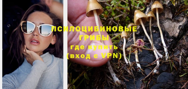 прущий лед Абаза