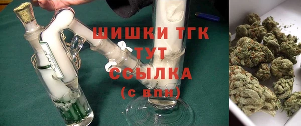 прущий лед Абаза