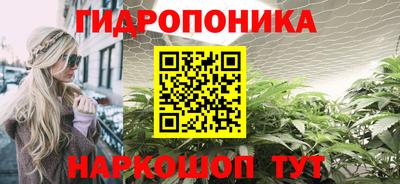 spice Балашиха