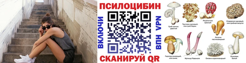 Галлюциногенные грибы прущие грибы  Грозный 