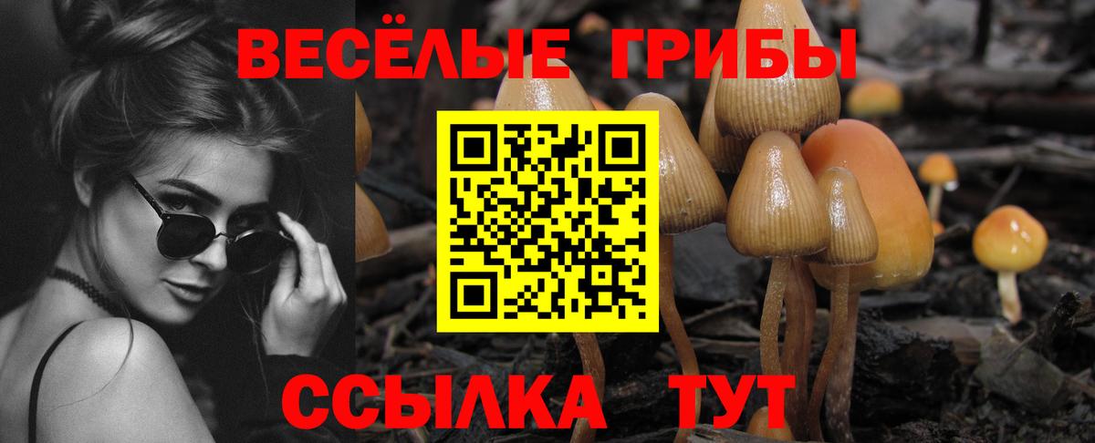 Грозный  Галлюциногенные грибы Psilocybe  Вход с VPN 