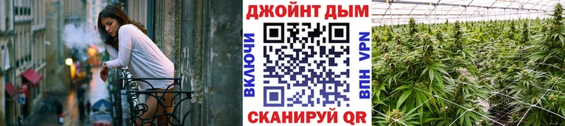 Канабис план  Грозный 